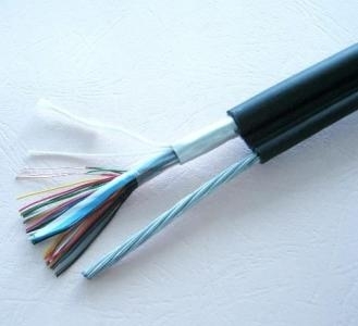 探索山东控制电缆KVV 选购指南与联系方式解析