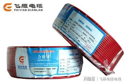 飞雁电缆 百年“老字号”的智能控制电缆新篇